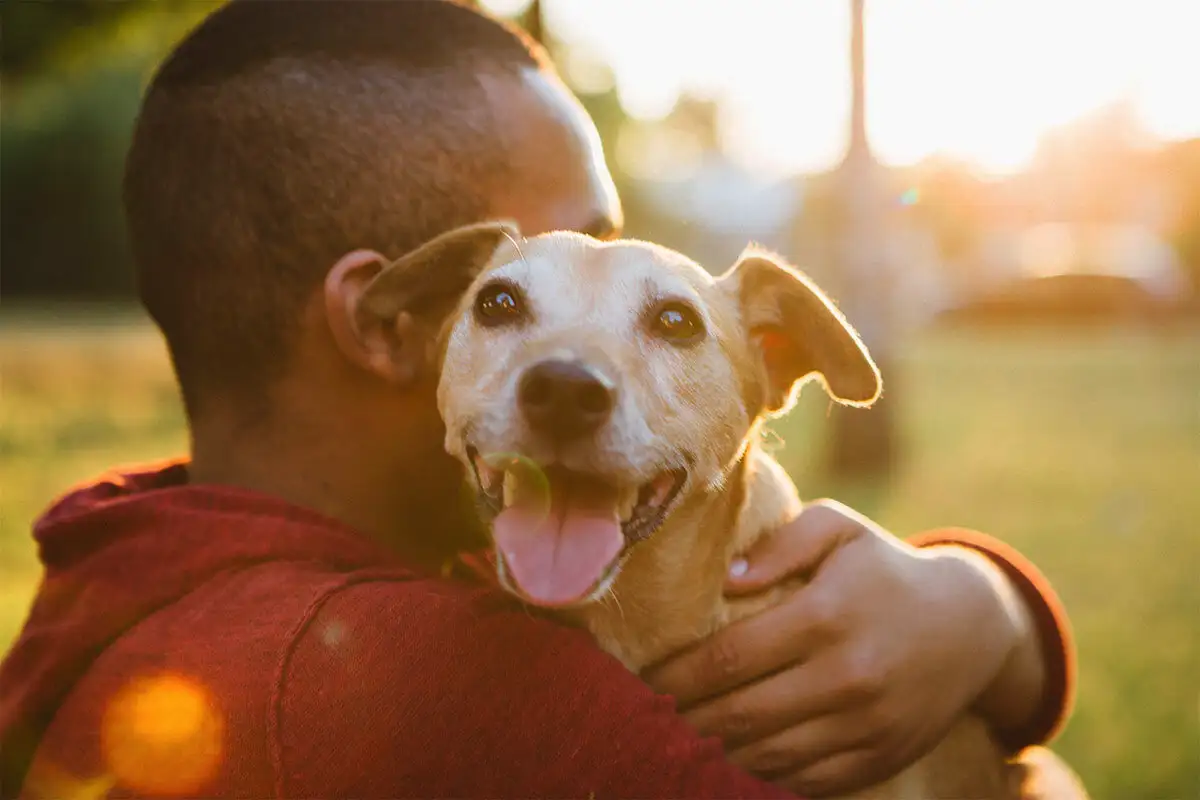 Pogovor s psom kot z dojenčkom: Kaj razkriva o tebi?