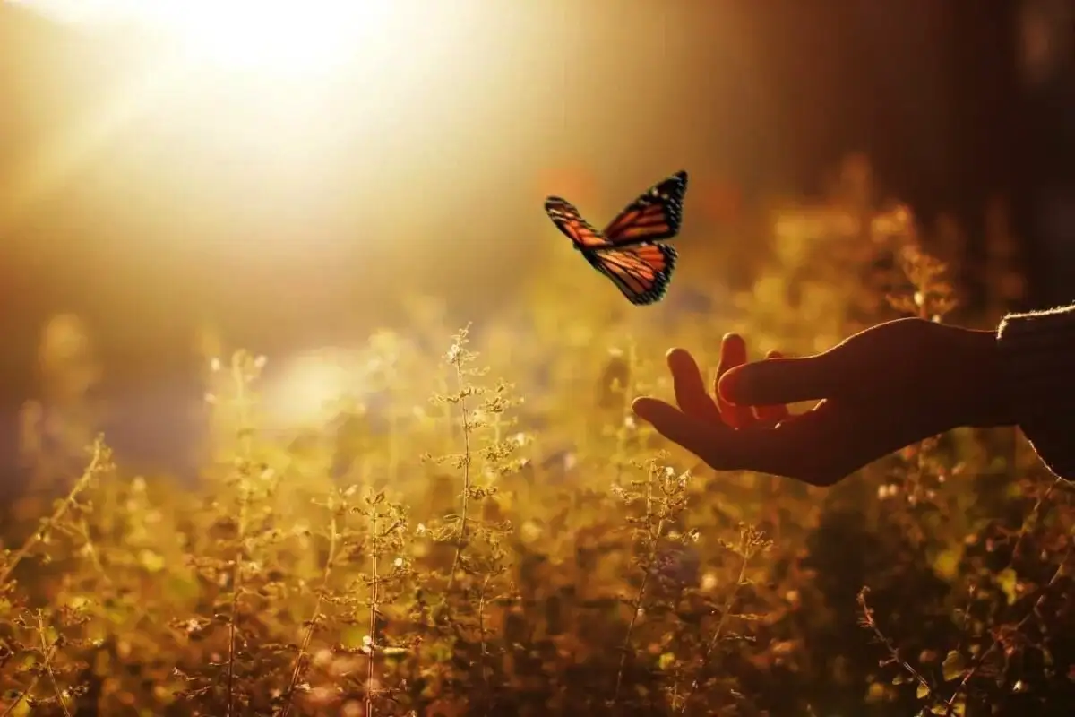 Ljudje, rojeni v teh treh mesecih, širijo svetlobo in dobroto