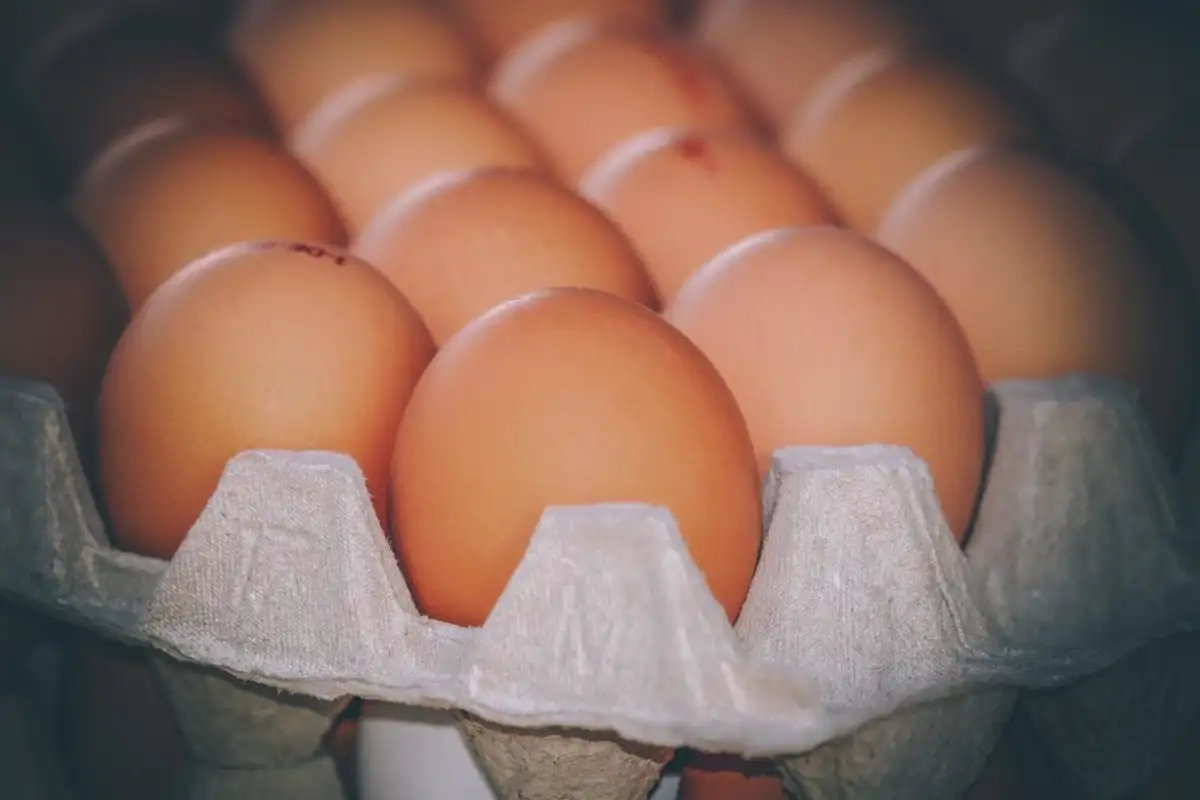 Sveža jajca dlje časa: Kje v hladilniku jih res morate shranjevati