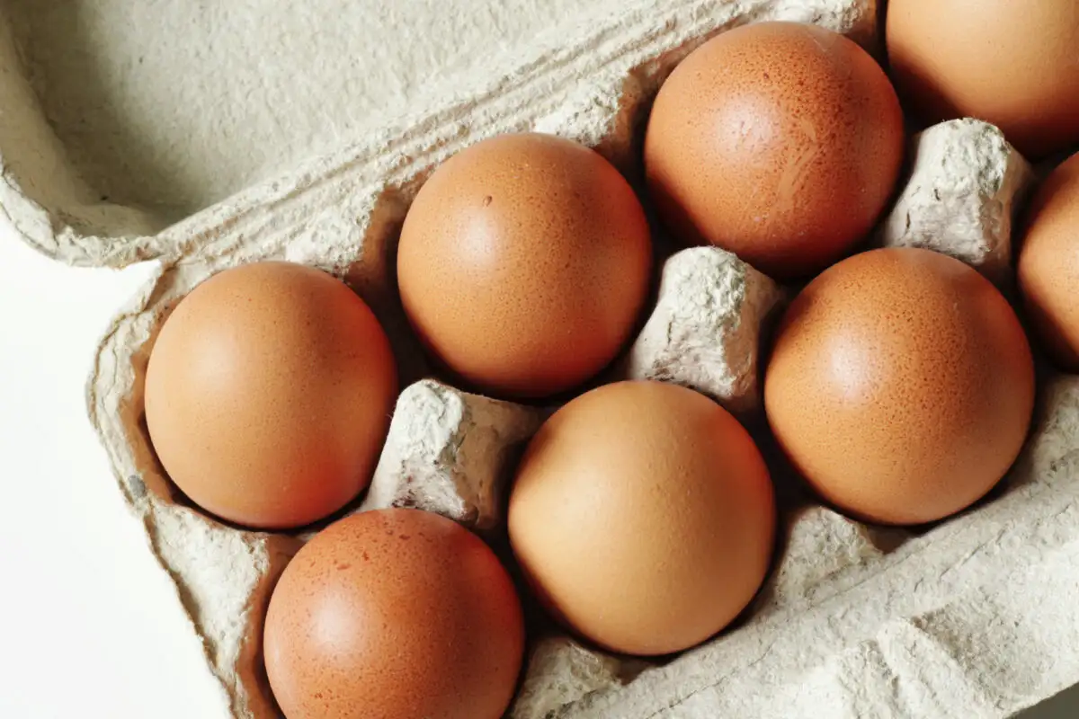Sveža jajca dlje časa: Kje v hladilniku jih res morate shranjevati