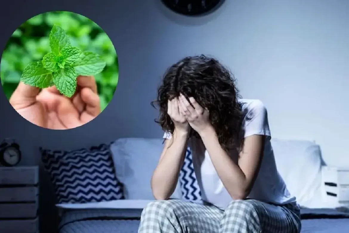 uporabiti meto za preprečevanje nespečnosti1 Kako uporabiti meto za preprečevanje nespečnosti: učinkovit domači trik