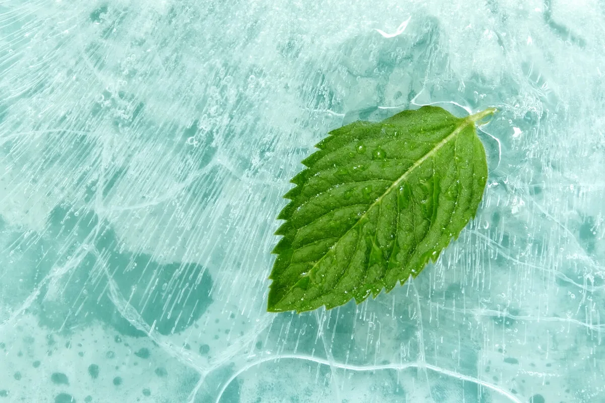 Kako uporabiti meto za preprečevanje nespečnosti: učinkovit domači trik