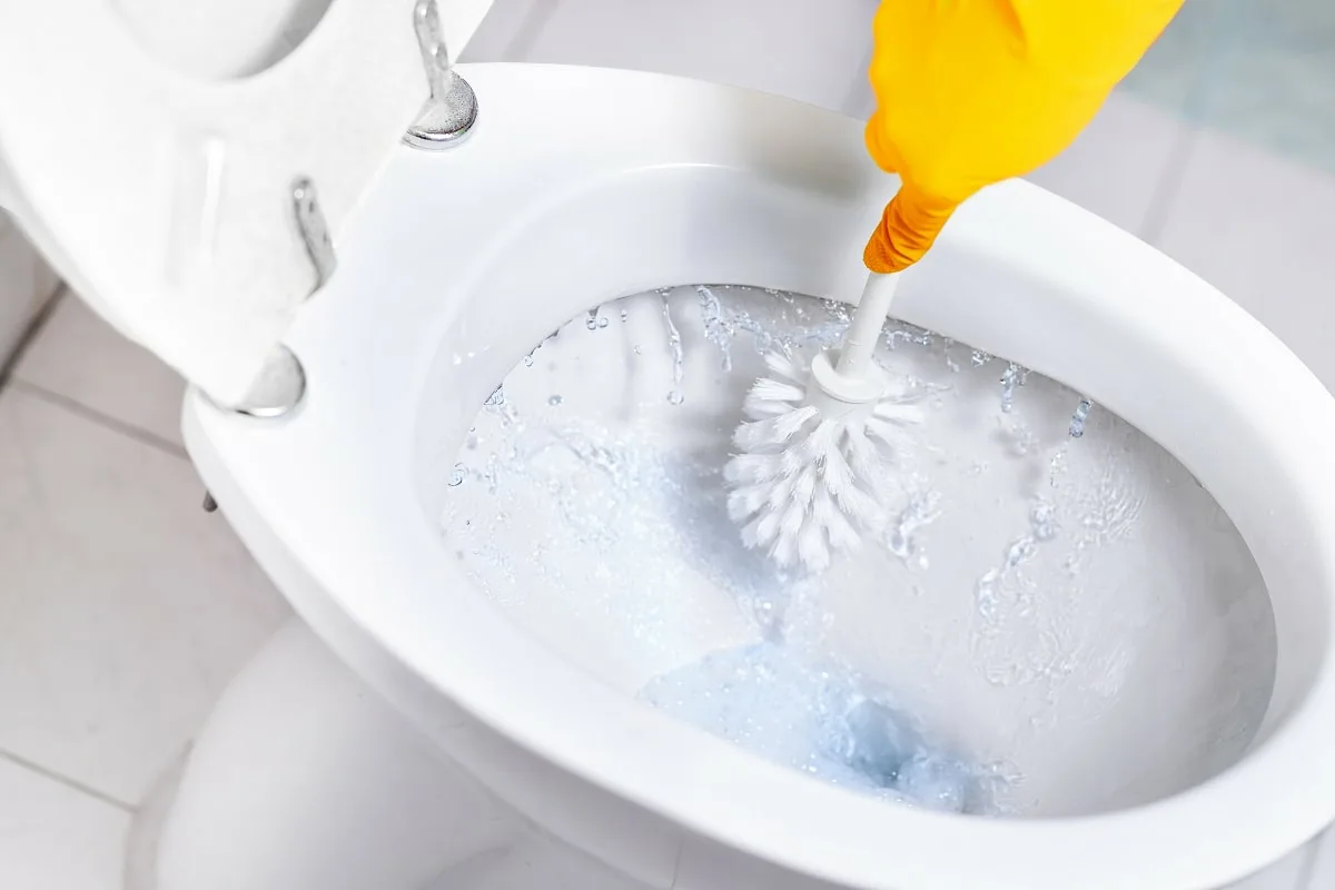 Kako odstraniti vodni kamen z roba WC školjke brez napora