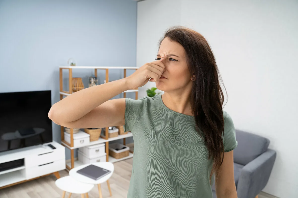 Vonji v domu: Skriti krivci, ki rušijo harmonijo odnosov