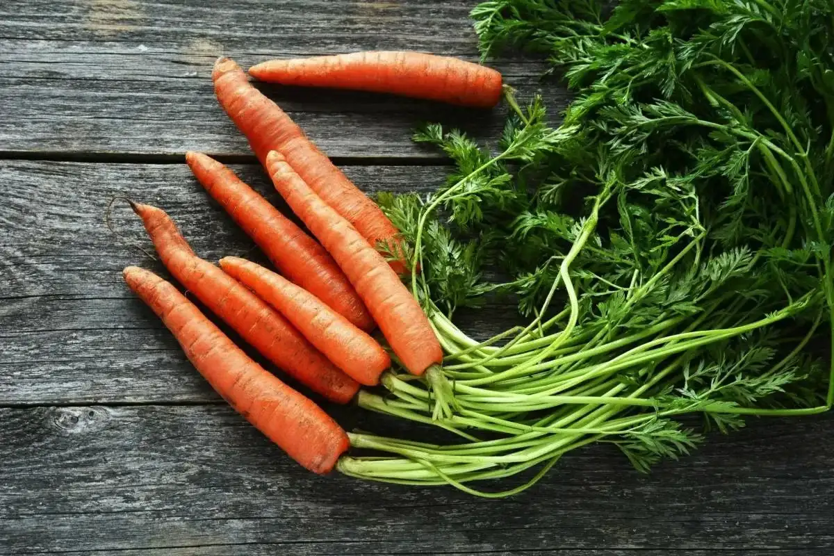 Koristni nasveti za zaščito vaših oči: Ohranite vid zdrav in oster