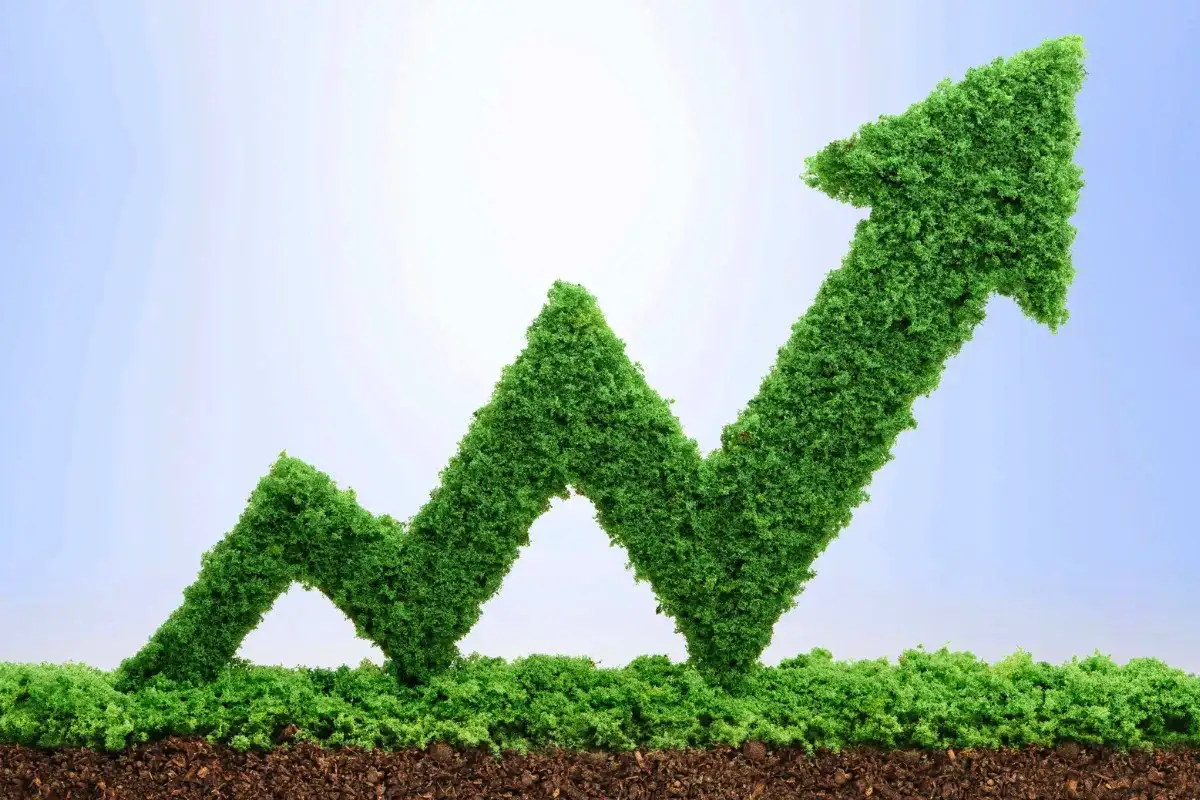 Zelena Ekonomija: Zaslužite z Eko-Trendy!