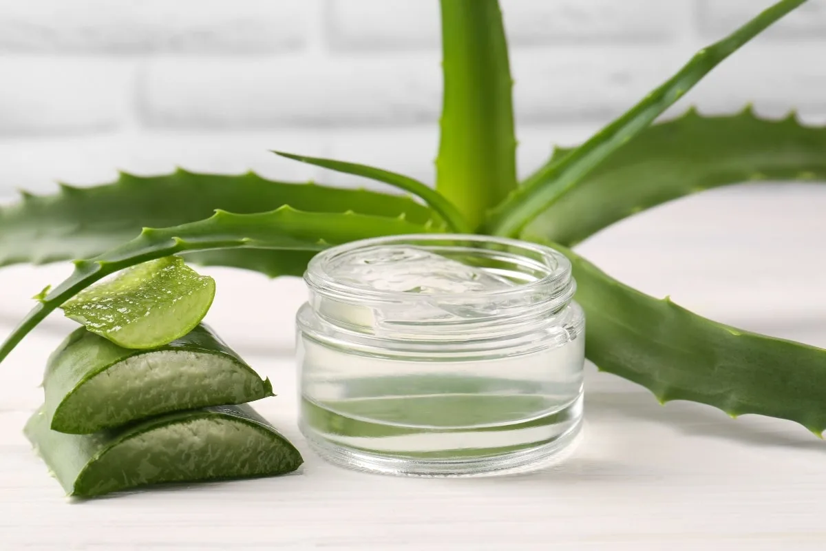 Aloe vera: zakaj je čudež za vašo kožo in obraz