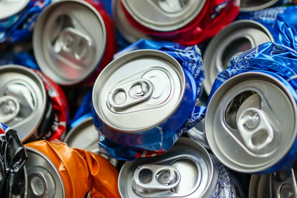 Aluminijaste pločevinke v vrtu: skrivnost za zaščito pred pticami in energijo