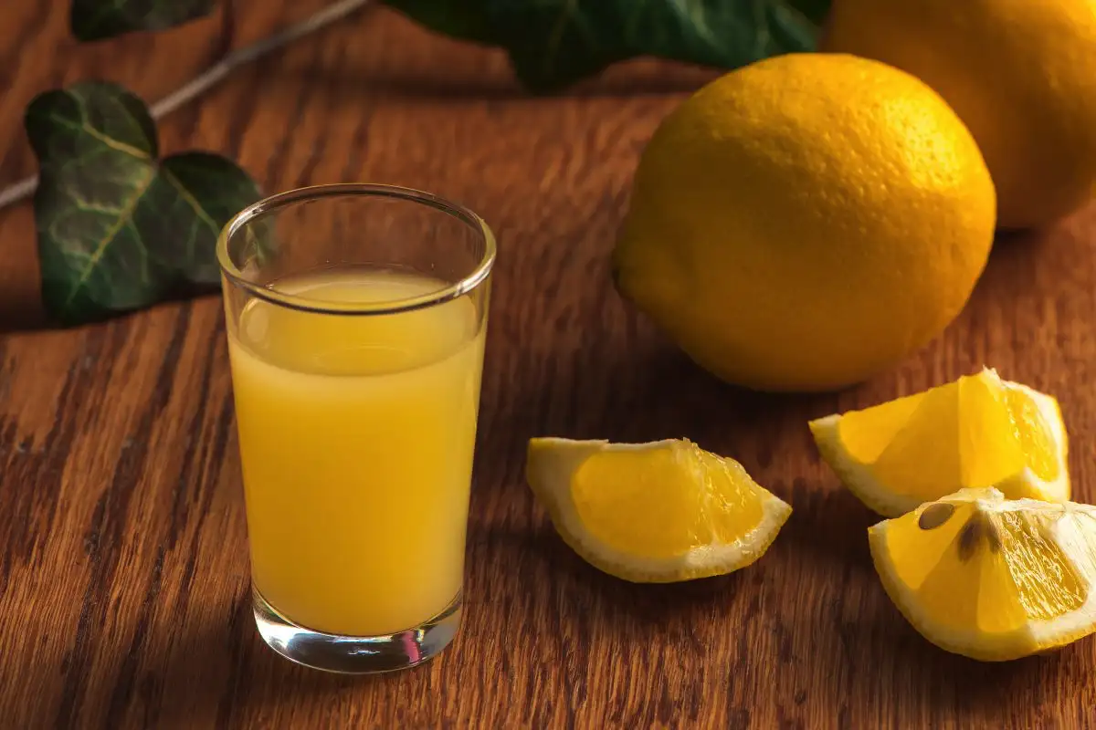 Avokado predrag? Genialni triki za svežino, ki trajajo dneve dlje