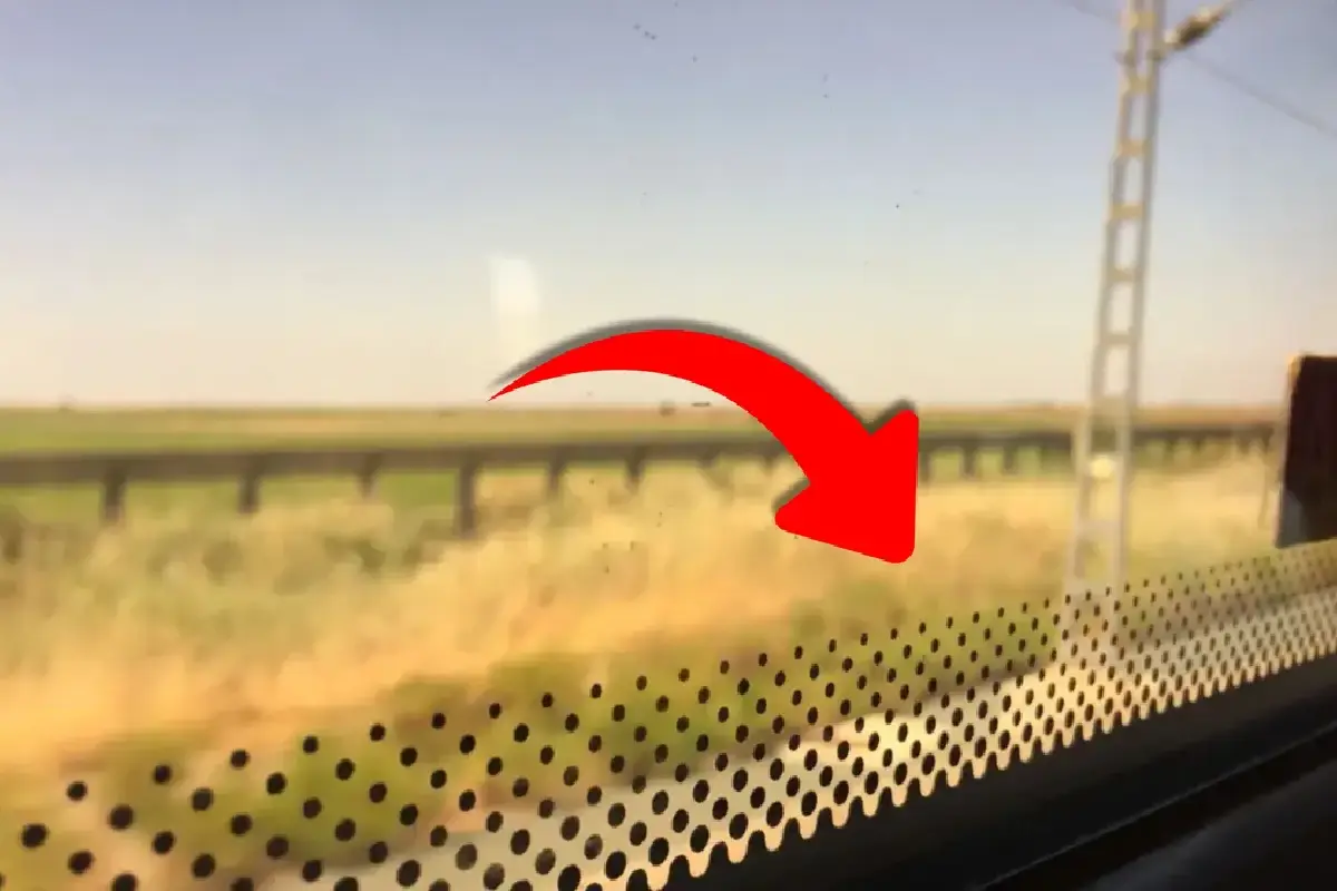 Črna pikčasta linija na oknih avtobusov: majhen detajl, ki rešuje življenja