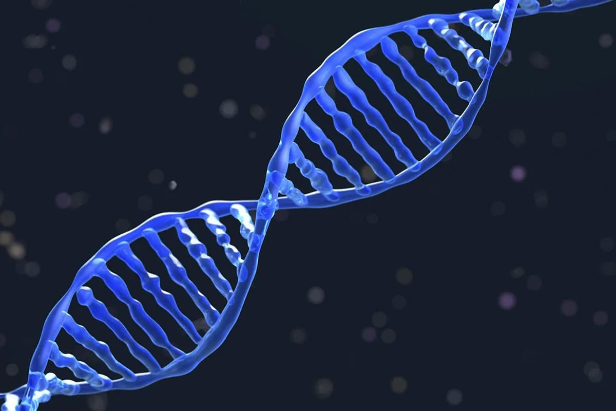 Skriti "geometrični kod" v DNK: kako celice računajo, pomnijo in se učijo