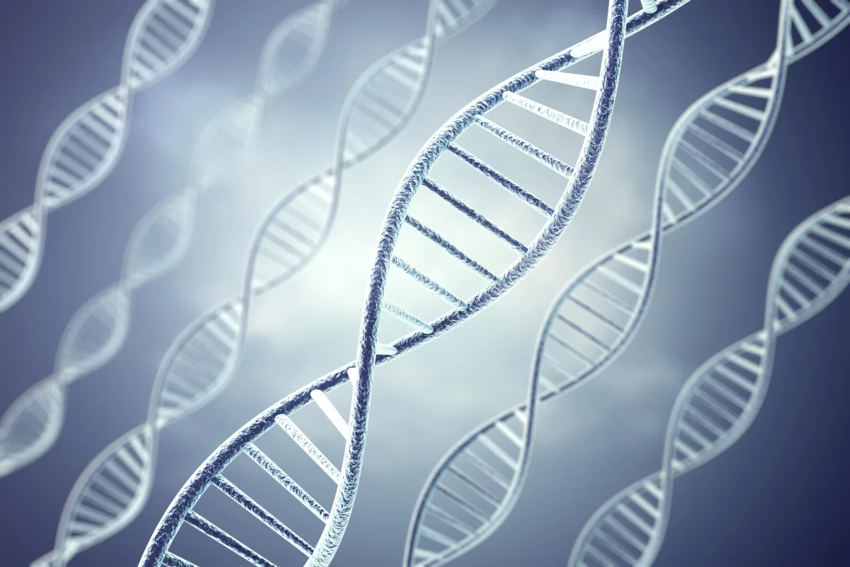 Skriti "geometrični kod" v DNK: kako celice računajo, pomnijo in se učijo
