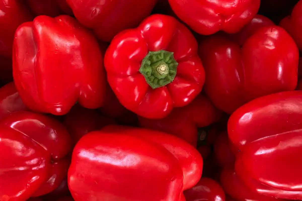 Katera hrana ima več vitamina C kot pomaranča: 10 vsakdanjih živil, ki vas bodo šokirala s svojo močjo