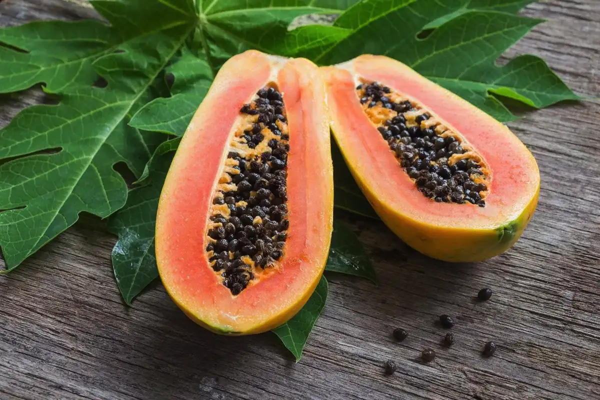 Katera hrana ima več vitamina C kot pomaranča: 10 vsakdanjih živil, ki vas bodo šokirala s svojo močjo