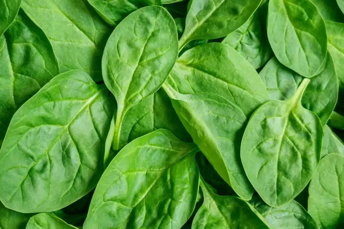 Hrustljavi špinačni palčki brez ene same kapljice olja za cvrtje in brez grama bele moke