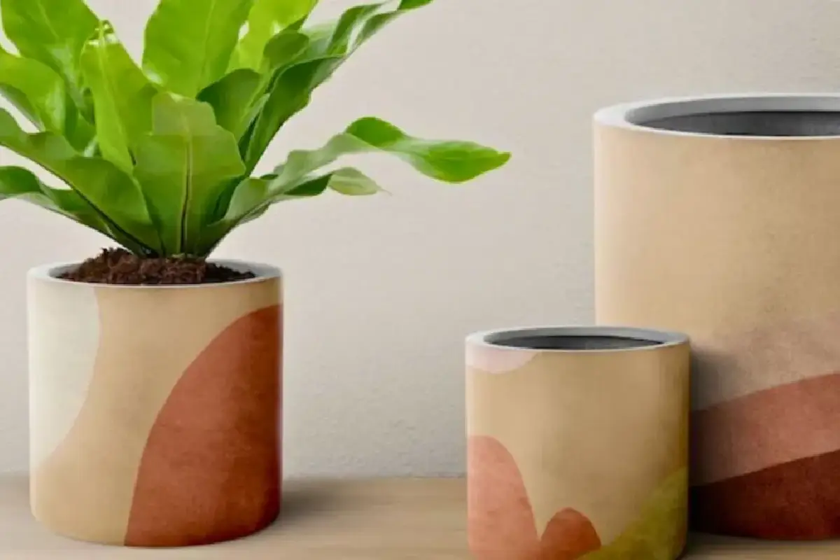 Poslovite se od tradicionalnih lončkov: kako narediti domač lonček, da bodo vaše rastline zasijale