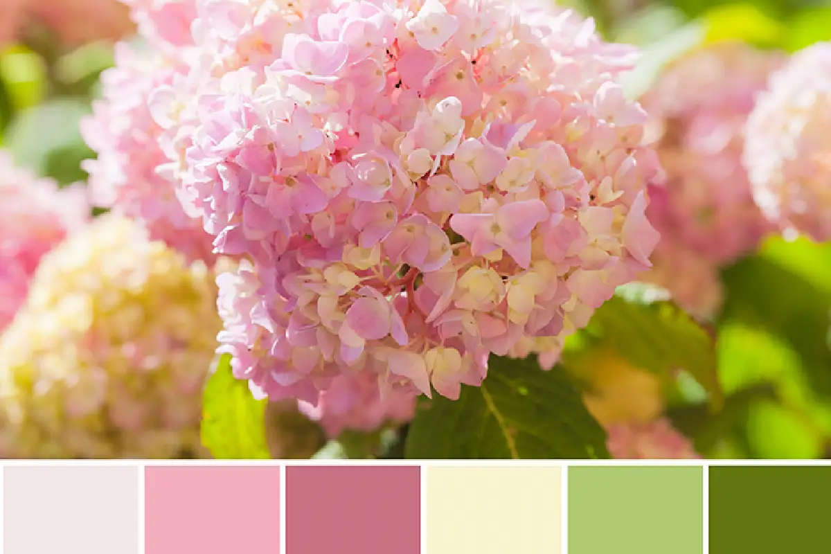 Kako kombinirati barve v oblačilih: Nasveti za več živosti v garderobi