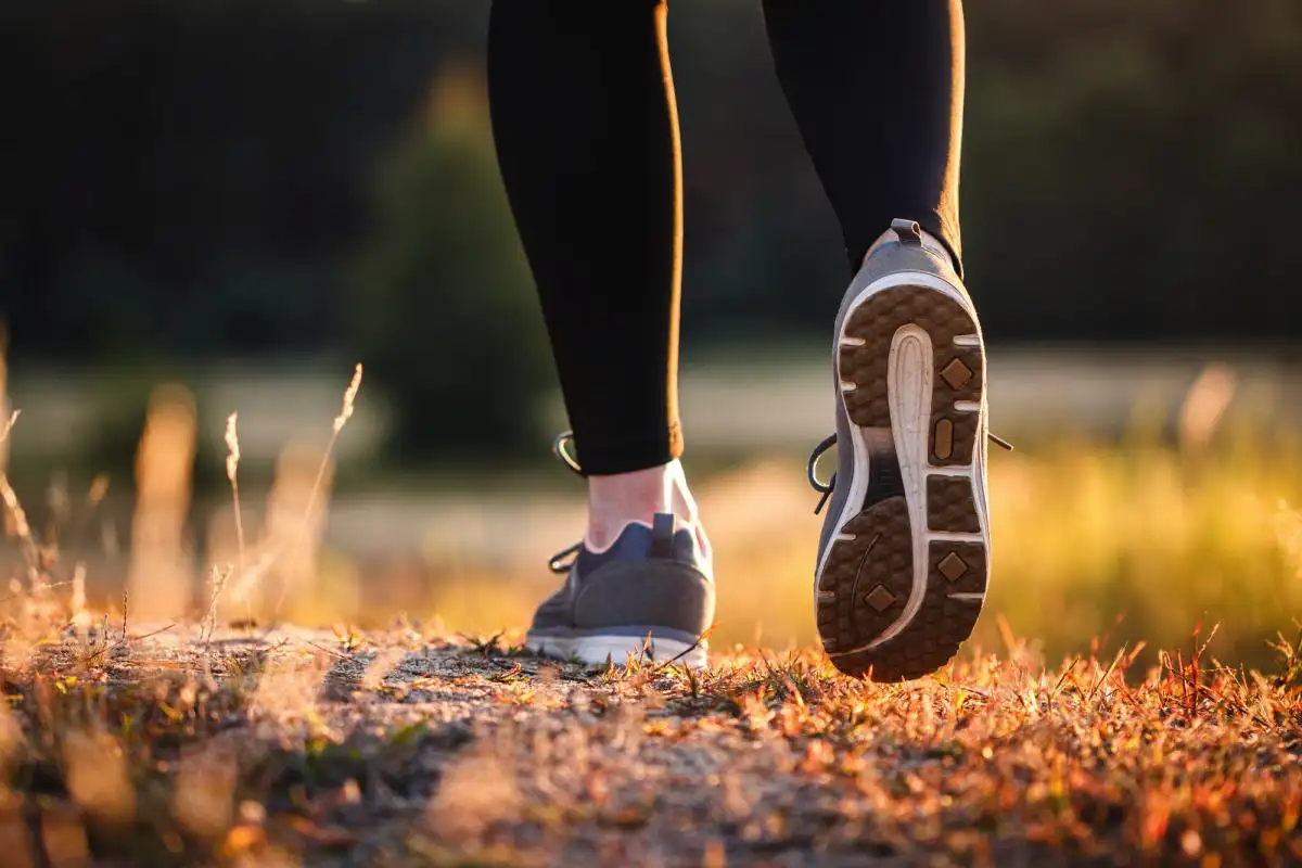 Miti o Zdravju: Je Resnično Treba Narediti 10.000 Korakov Dnevno? Razkritje, Ki Vas Bo Presenetilo