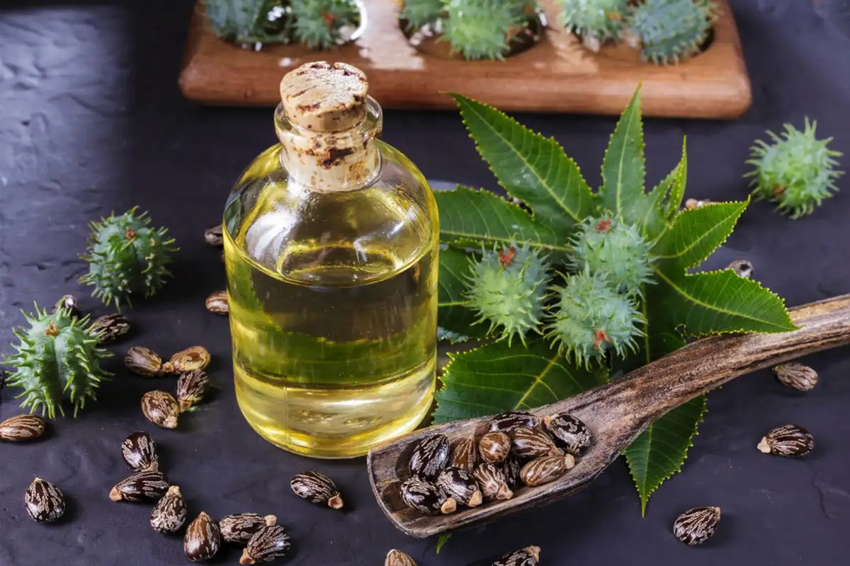 Dary narave: najboljša olja za lase