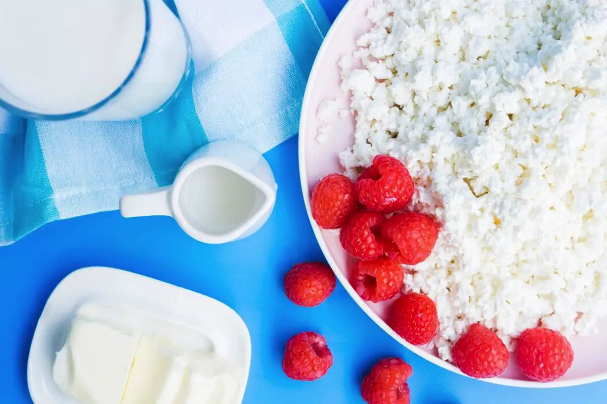 Kdaj je najboljši čas za uživanje skute: zajtrk, večerja ali pred spanjem?