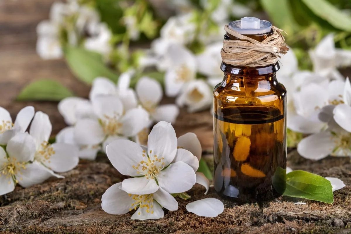 Kako narediti domači parfum za oblačila