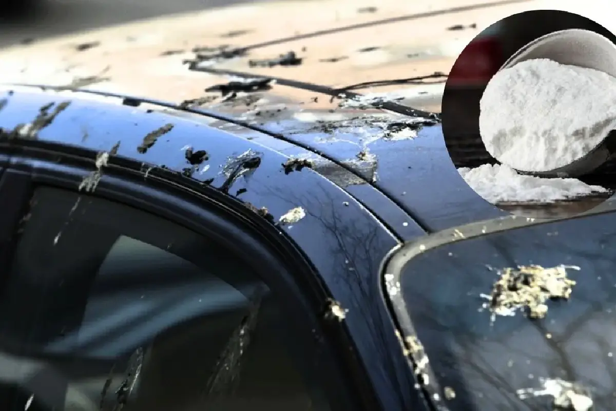 Kako očistiti ptičje iztrebke z avta s sodo bikarbono