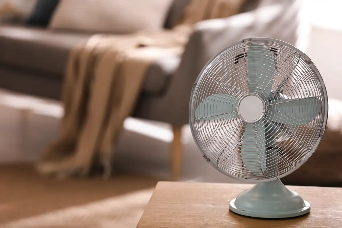 Kako očistiti ventilator v 10 minutah brez belila, alkohola in tveganja – domači trik, ki ga uporabljajo tudi v servisih