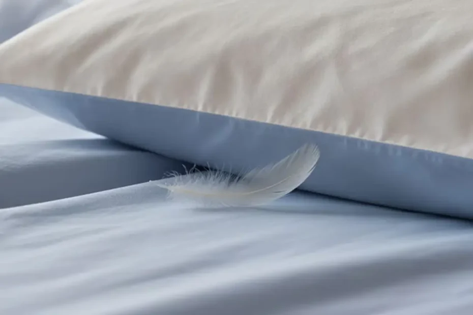 Ali ste vedeli, da lahko pero pod blazino spremeni vaše noči v raj?