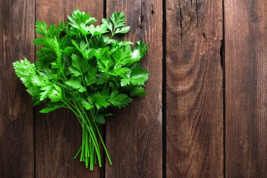 Zakaj je peteršilj čudežno zelišče: Blaži menstrualne bolečine in še 7 drugih koristi
