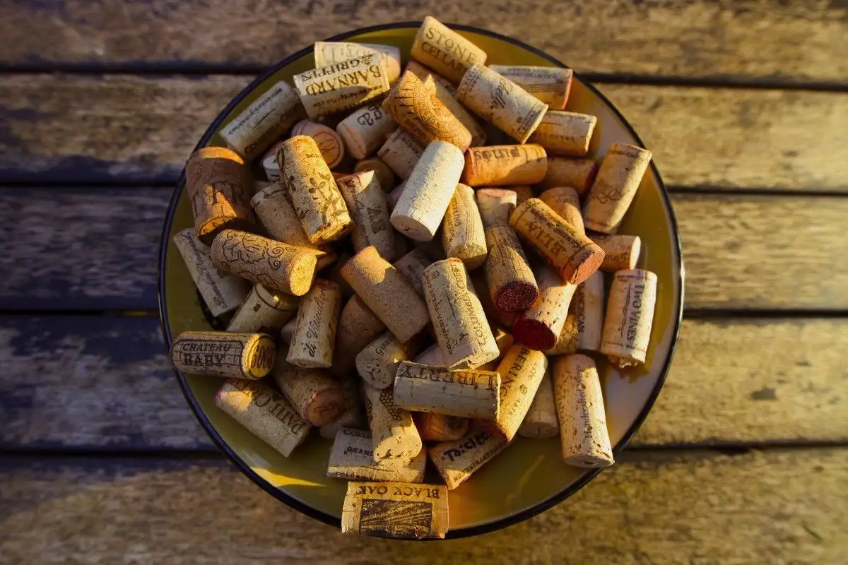 Zakaj postaviti pluto v hladilnik: trik za manjše stroške in svežino