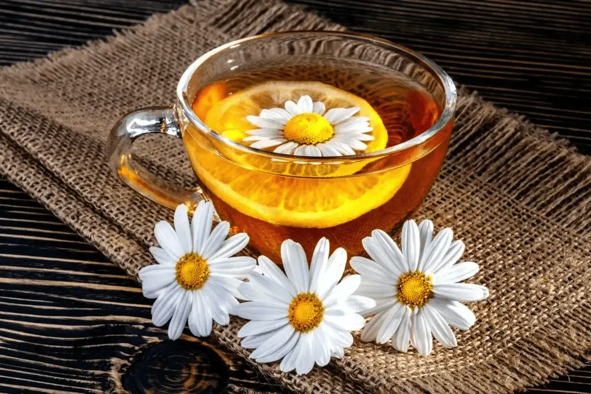 7 čajev, ki znižajo pritisk brez tablet – pijte 2 skodelici dnevno in občutite razliko v 2 tednih, brez stranskih učinkov ali odvisnosti