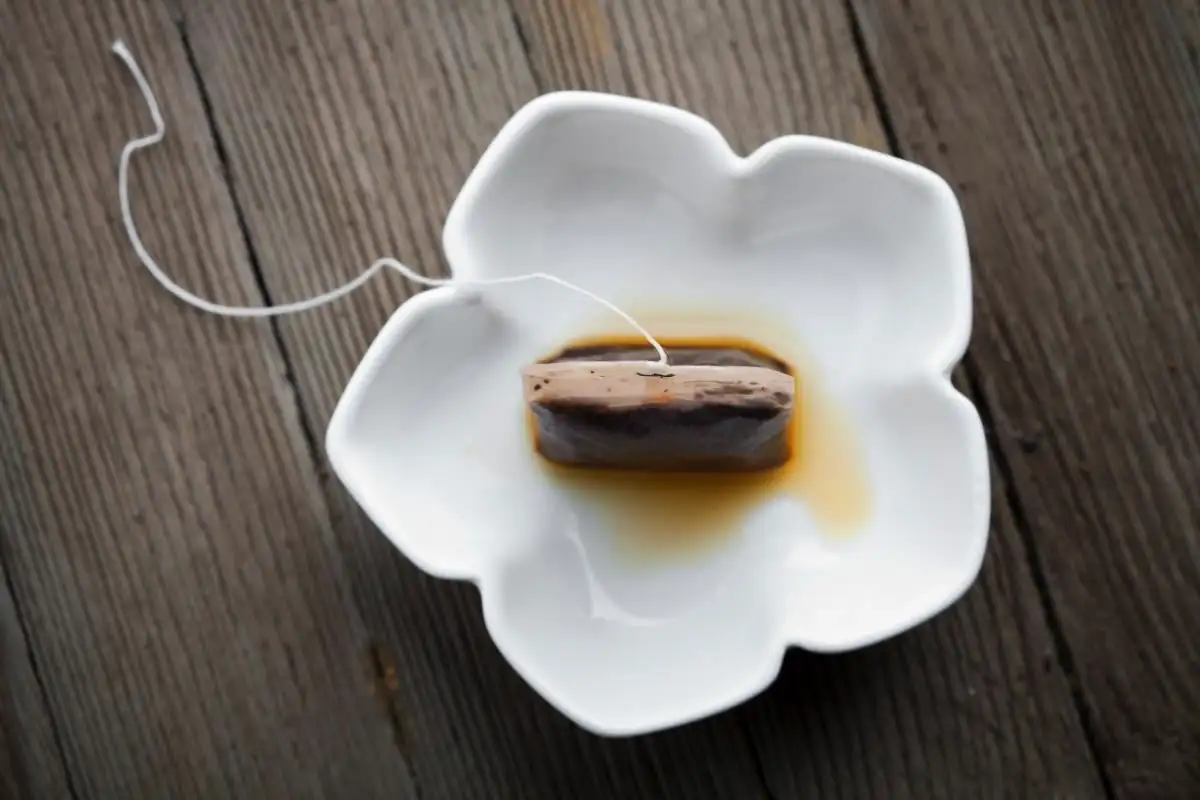 5 Uporabnih Načinov, Kako Doma Uporabiti Rabljene Čajne Vrečke: Naravni Pomočnik v Gospodinjstvu