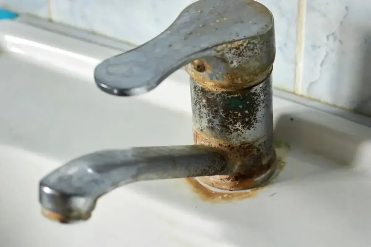 Rja na pipah te spravlja v obup? V 10 minutah bo izginila brez sledu, z dvema stvarema, ki ju imaš v kuhinji že zdaj