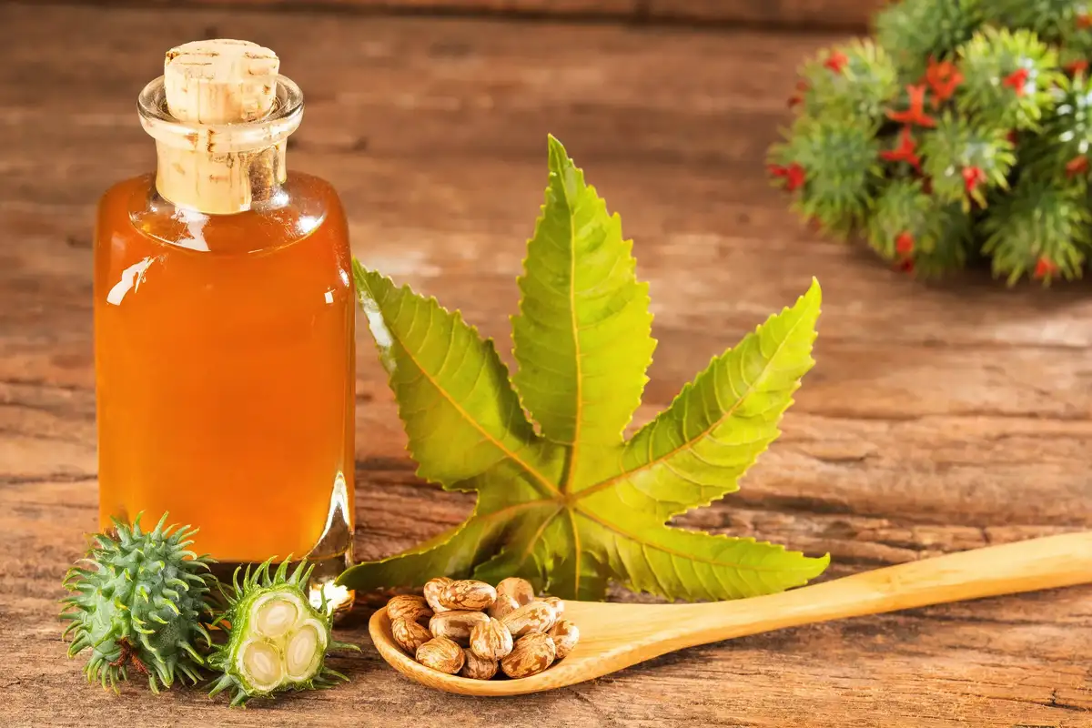 Mešajte rožmarin z ricinusom: Zakaj to priporočajo in za kaj služi