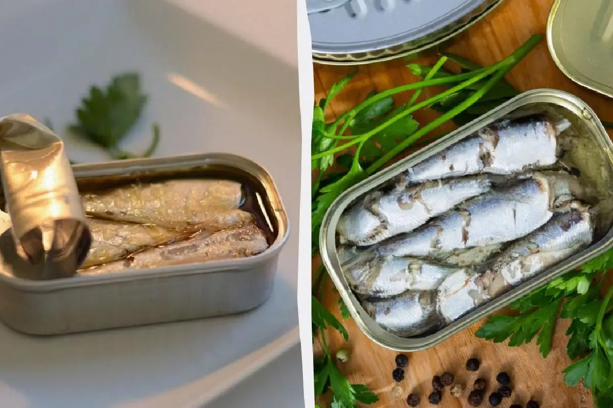 Sardine vsak dan za srce: Glavne koristi in tveganja po mnenju zdravnikov