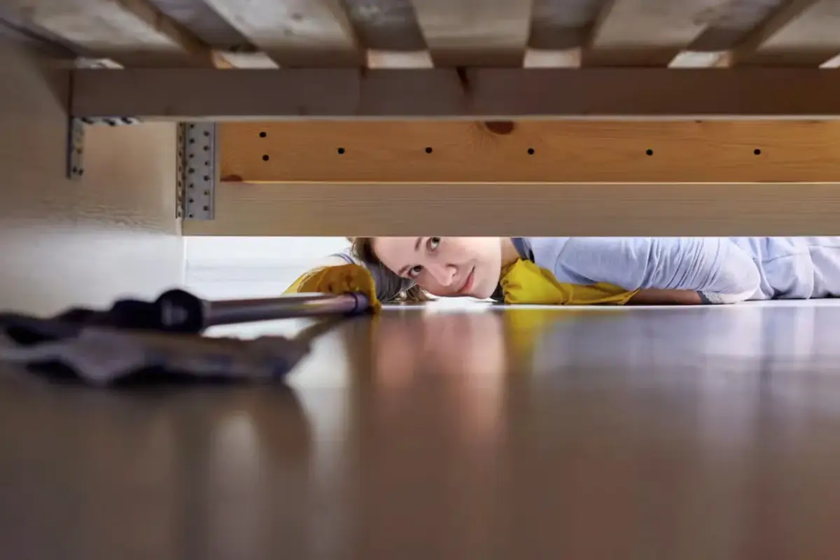 Zakaj škropiti kis pod posteljo: kaj to pomeni in kako deluje