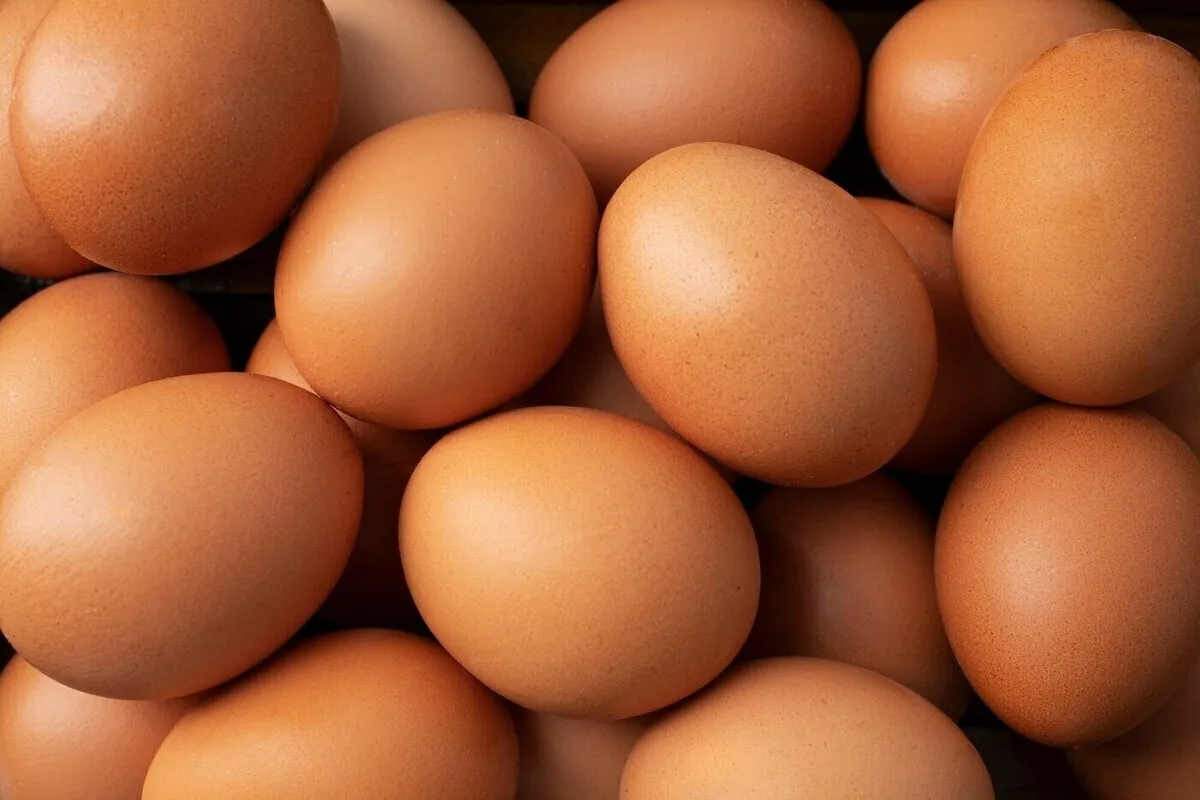 Najbolj sočen čokoladni kolač na svetu – in skrivnost, ki jo pozna samo peščica slaščičarjev