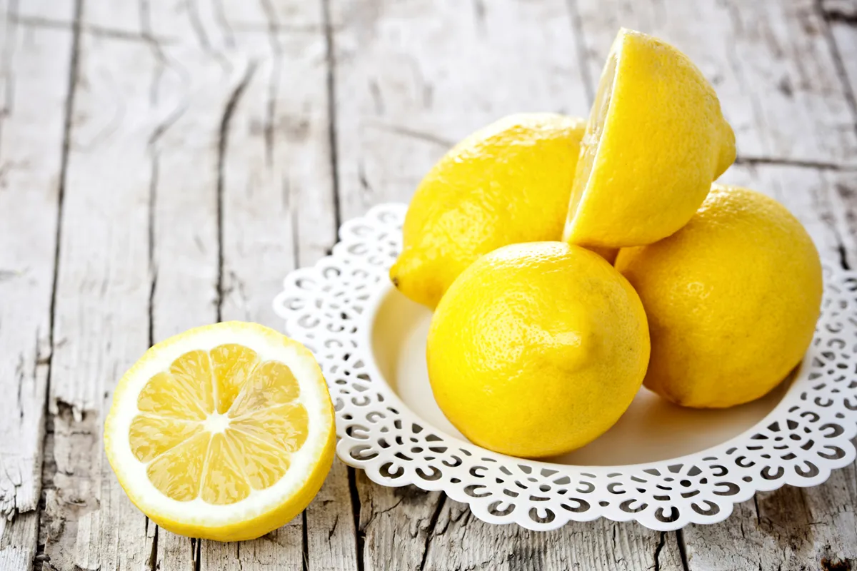 To Vrzi v Kotliček, In Tvoje Stranišče Bo Vedno Vonjalo Po Svežina Stranišča!