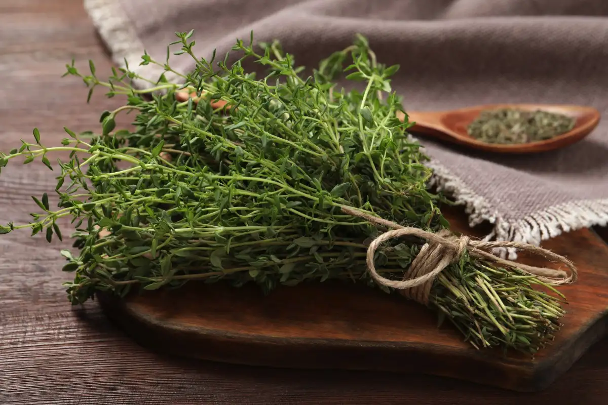 Zakaj obesiti vejico timijana na vhodna vrata: Skrivnost, ki ščiti dom in izboljša počutje