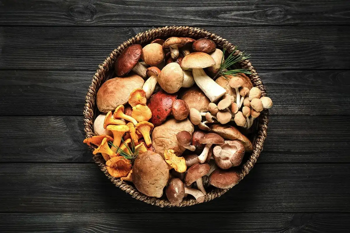 Šest zelenjav, ki jih telo veliko bolje izkoristi, če jih pojeste kuhane kot surove