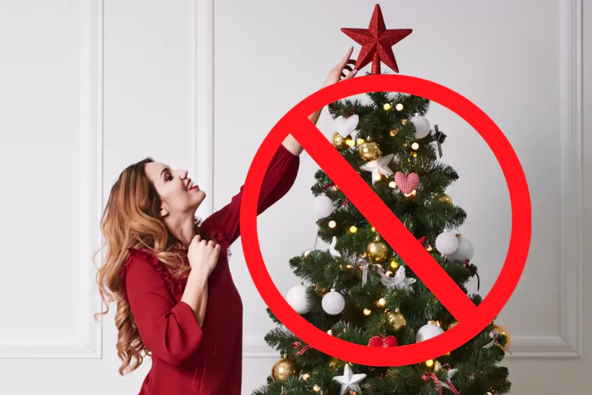 Zbogom klasični smreki: nordijska božična stena 2025, ki osvoji srca, reši prostor in stane bore malo