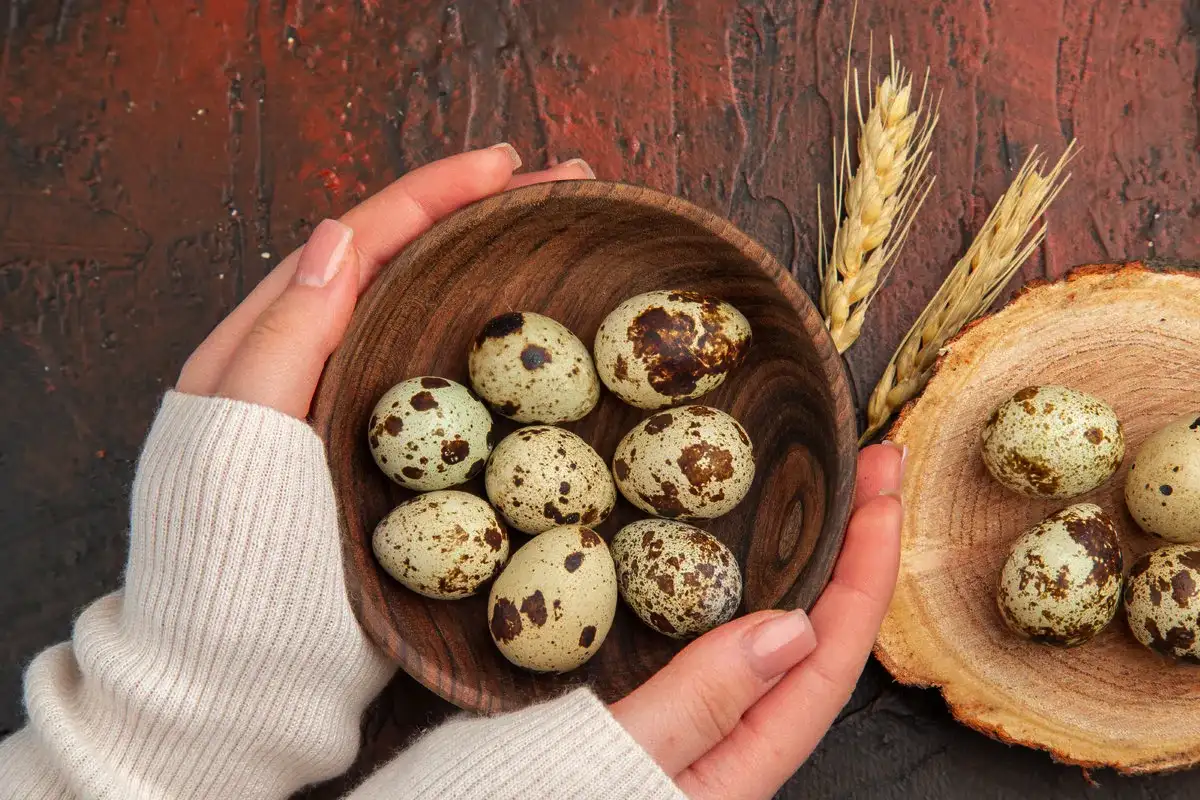 Neverjetni koristi prepeličjih jajc: prava zakladnica železa in vitaminov