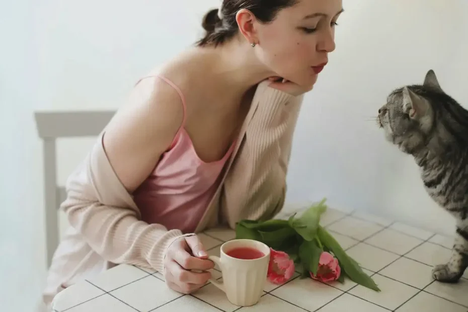 Zakaj v nekaterih domovih diši po "mački", v drugih pa ne – skrivnosti brez vonja v hiši z mačko