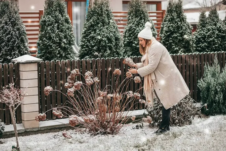 Česa ne smete početi na vrtu pozimi: 5 nevarnih napak – poškodovan travnik, mrtve rastline in bolezni se začnejo v hladu