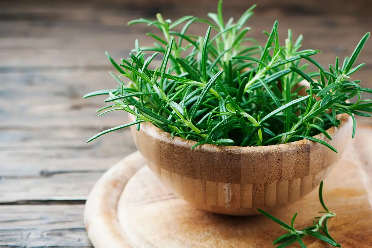 Zakaj na tisoče ljudi po vsem svetu obesi svežo vejico rožmarina, ovito z rdečo vrvico, v spalnico 