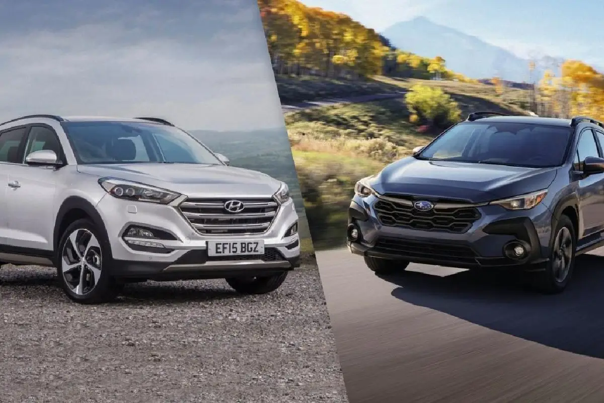 Prekašajo vse konkurente: to je 5 najboljših poceni križancev