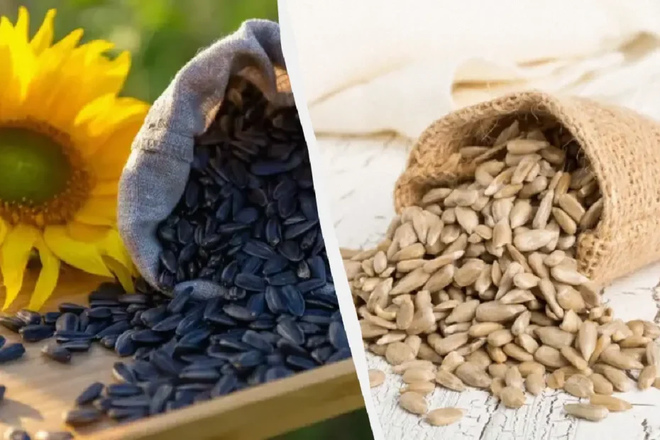Kako pravilno jesti sončnična semena: 9 najkoristnejših načinov + bonus recepti 