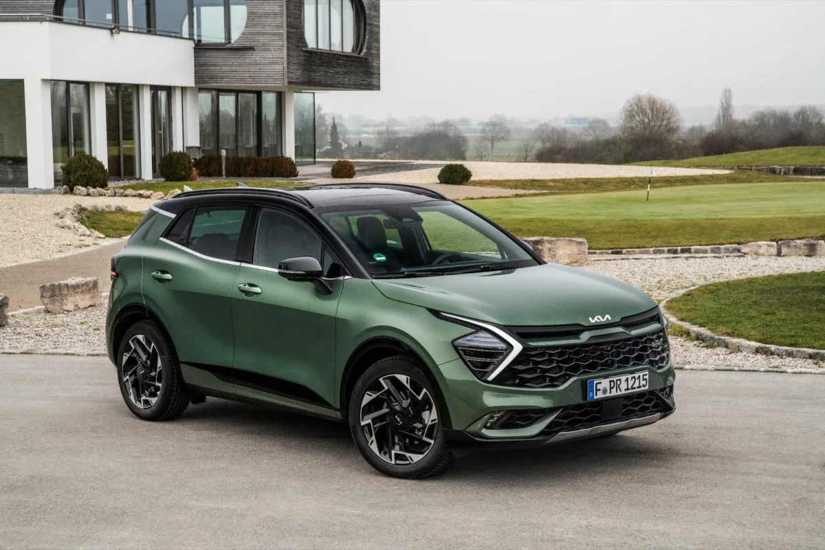 Poceni, a nezlomljivi: 6 najboljših rabljih križancev, ki ti bodo služili 15–20 let brez velikih računov