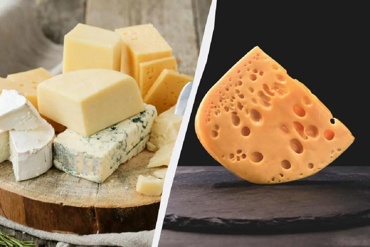 Zakaj vaš sir v hladilniku postane sluzast, smrdljiv ali suh kot kamen – in kako ga obdržati svežega tudi šest tednov