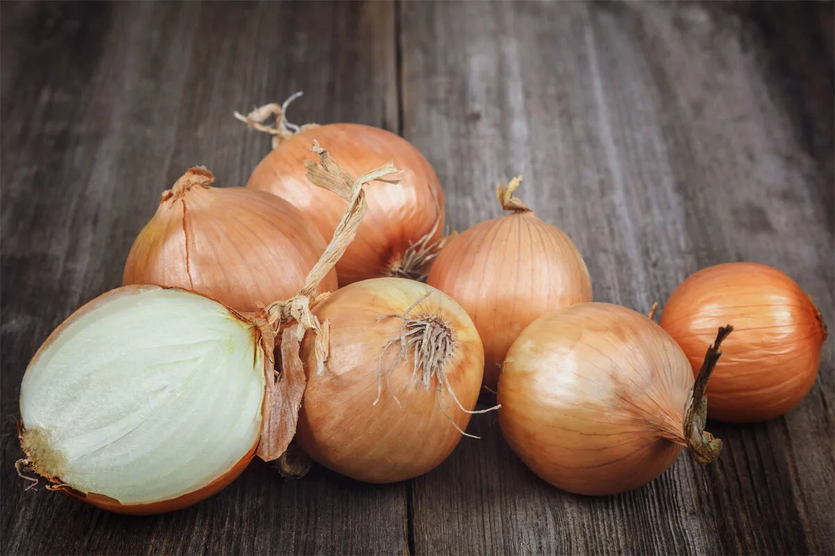 Čebula, ki v hipu reši vse smrdeče rešetke v hiši – in zakaj boste ta trik uporabljali vsak mesec